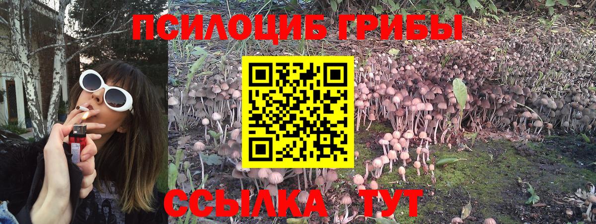 Галлюциногенные грибы прущие грибы Люберцы