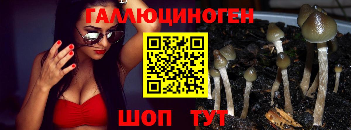 Люберцы  купить  сайты  Вход с VPN  Псилоцибиновые грибы мицелий 